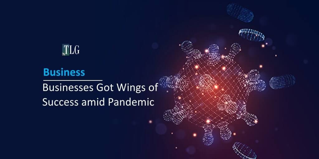 Business - Businesses got wings of success amid pandemic