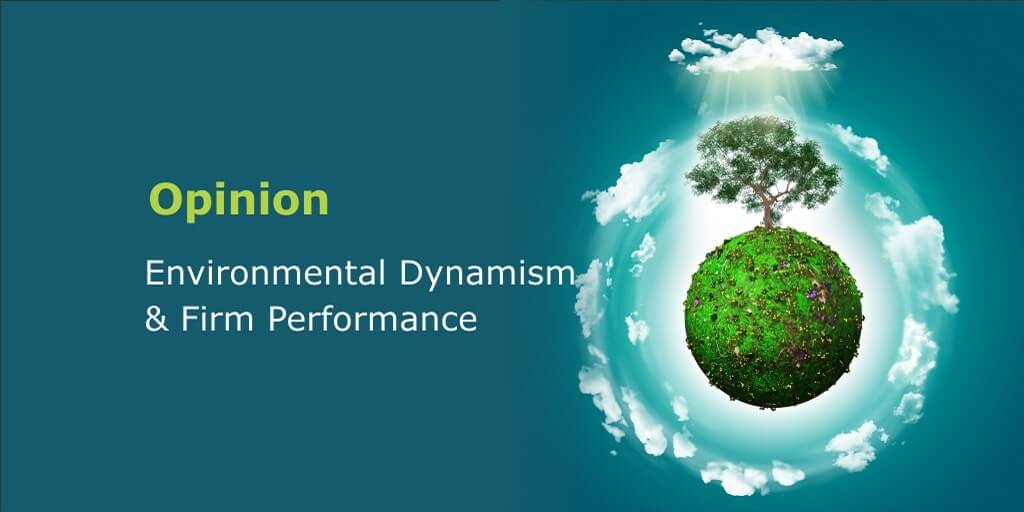 Environmental Dynamism and Firm Performance