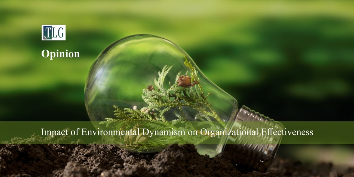 Impact of Environmental Dynamism on Organizational Effectiveness
