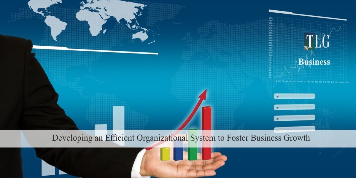 Developing an Efficient Organizational System to Foster Business Growth