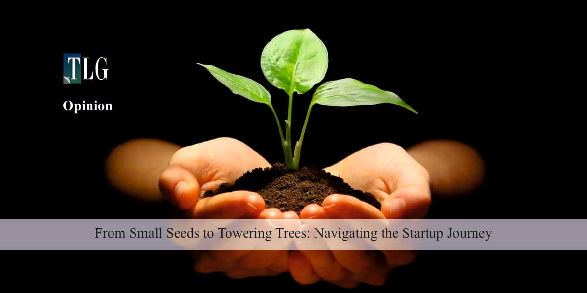 From Small Seeds to Towering Trees: Navigating the Startup Journey