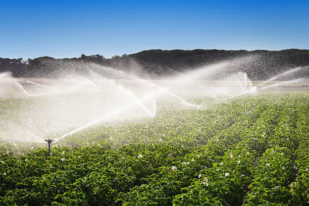 Global Water Crisis Poses Major Threat to Food Production and Global Economy by 2050