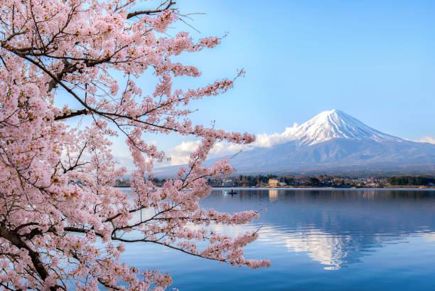 Japan Surpasses International Student Milestone Ahead of Schedule Country on track to meet 2033 goal of 400,000 international students