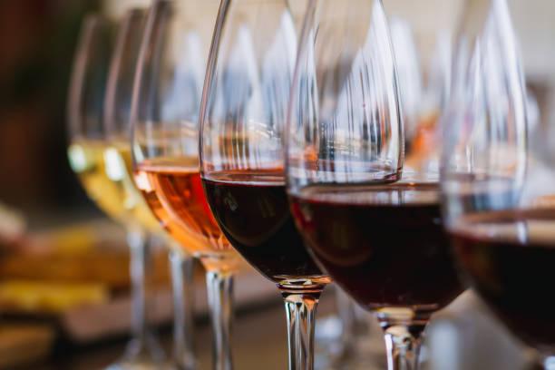 South Australian Wine Industry Welcomes Global Importers for Landmark Trade Visit
